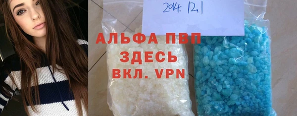 прущие грибы Верхний Тагил