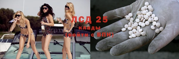 индика Верея