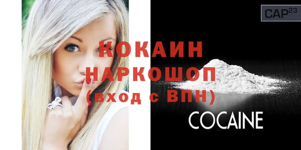 индика Верея