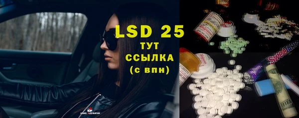 прущие грибы Верхний Тагил