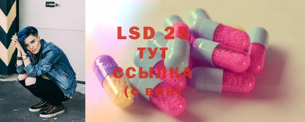 прущие грибы Верхний Тагил