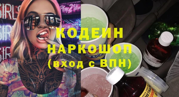 индика Верея