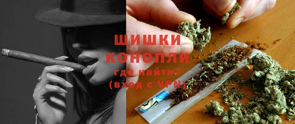 индика Верея