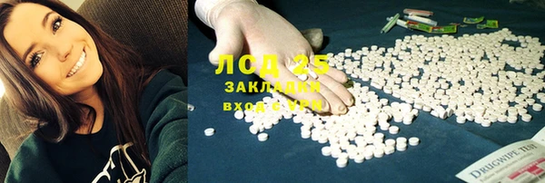 прущие грибы Верхний Тагил