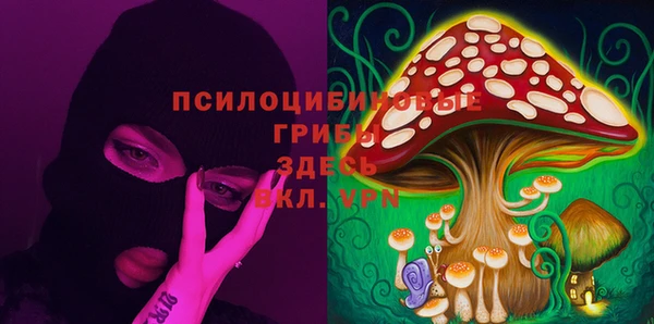 прущая мука Бронницы