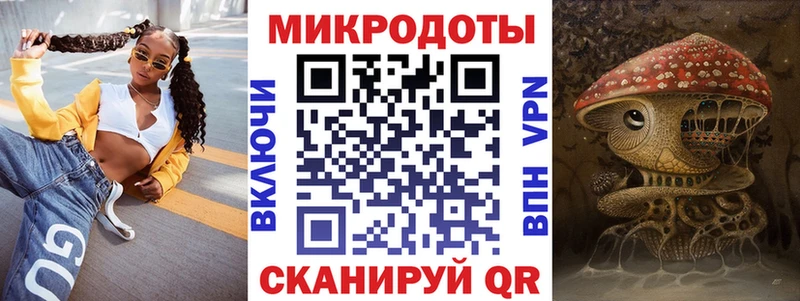 Псилоцибиновые грибы Psilocybe  Карасук 